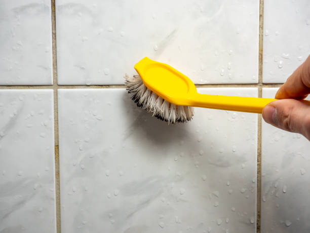 Best Basement Mold Remediation in Gambier, OH