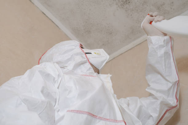 Best Emergency Mold Remediation in Gambier, OH